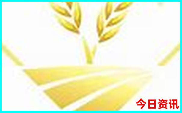 新澳门开奖结果最新查询