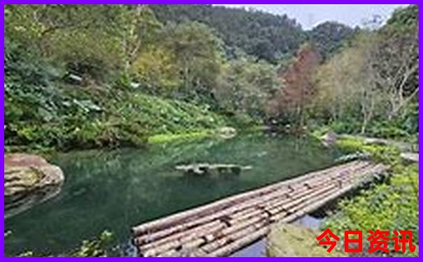 夏天去香港旅游合适吗
